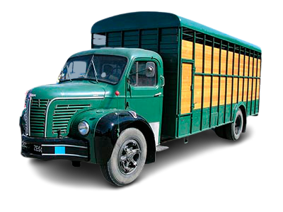 camion-collection-removebg-preview